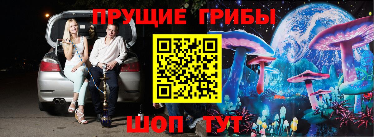 Псилоцибиновые грибы мицелий Новоуральск